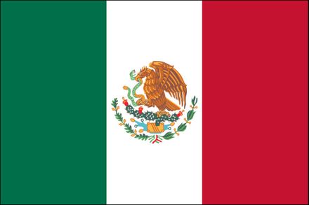 Mexikói zászló nagy